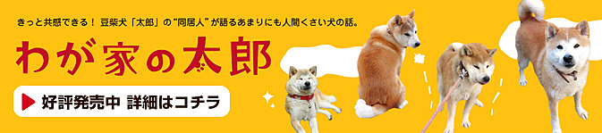 飛鳥出版の我が家の太郎ご紹介
